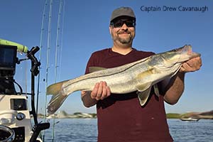 Light Tackle Saltwater Fishing Charters Near Orlando and Walt Disney World Florida