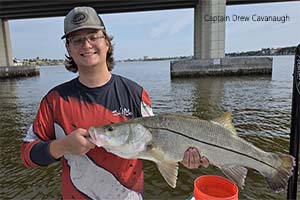 Light Tackle Saltwater Fishing Charters Near Orlando Florida